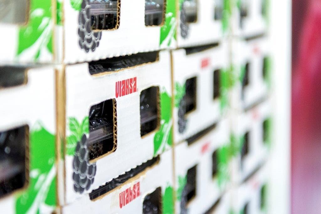 VIANSA blackberries.