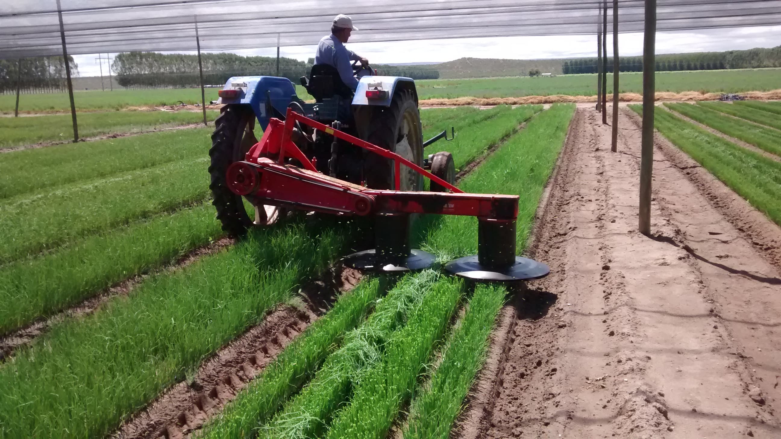 VIANSA agricultural services.